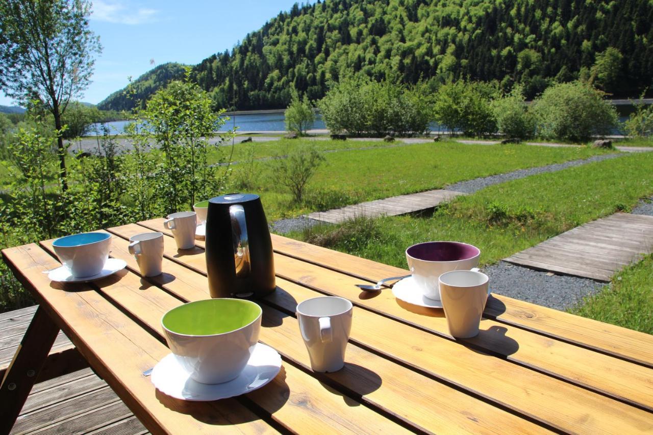 Vila Camping Des Lacs*** Celles-sur-Plaine Exteriér fotografie